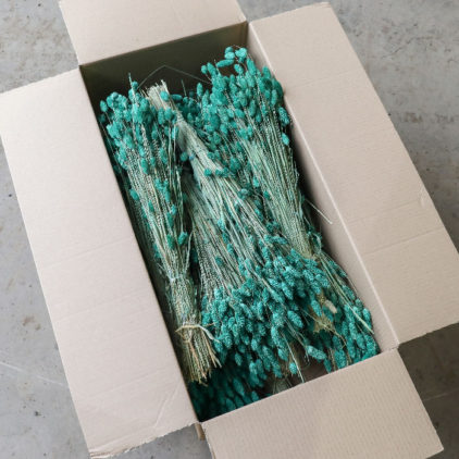 Wholesale bulk box of dried green phalaris