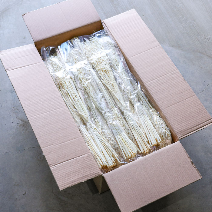 Bleached White Avena Bunches (Oats) - Box of 40